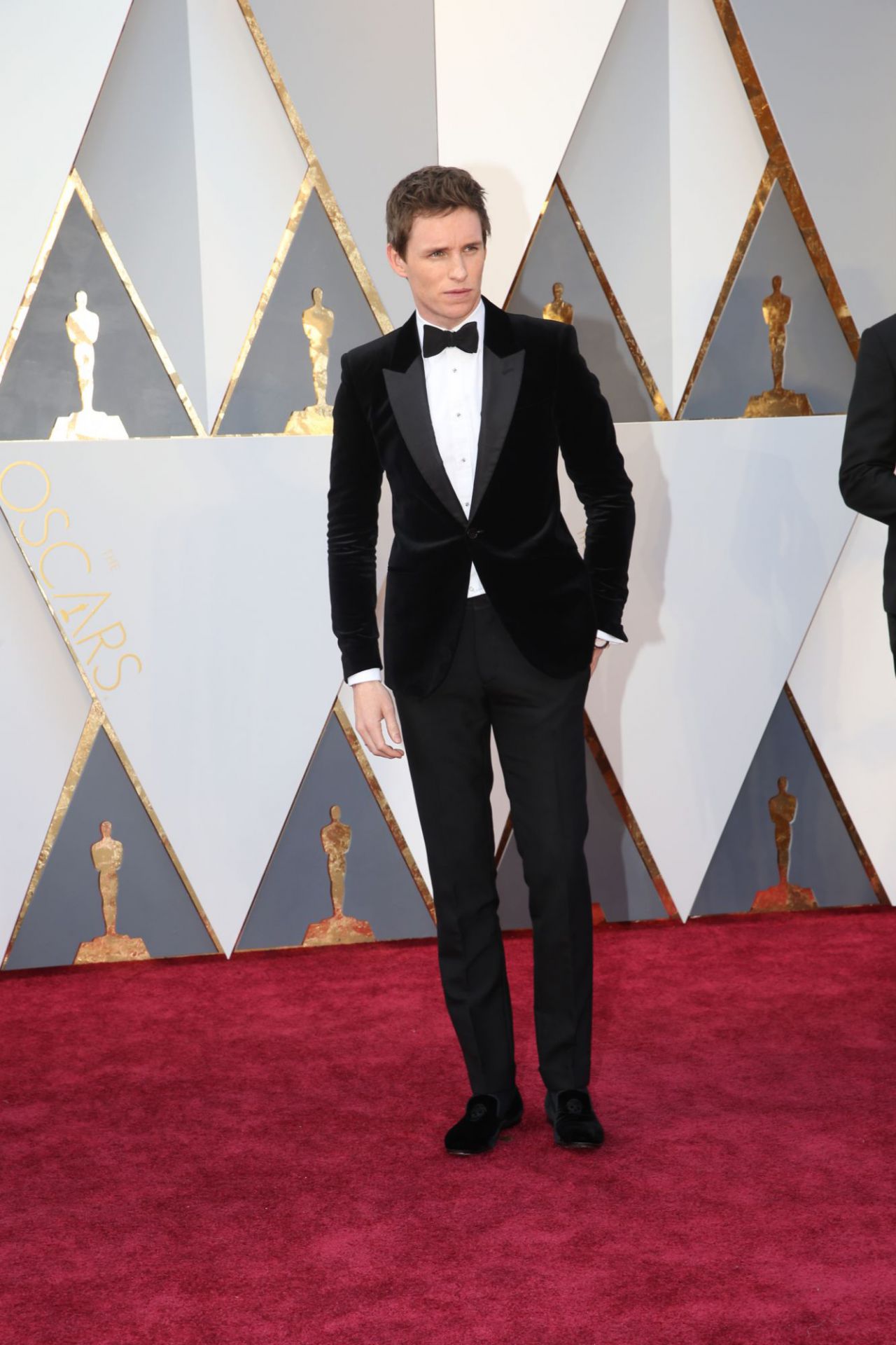 1. Nos encontramos con el actor Eddie Redmayne en la gala de los Oscar, el cual nos hizo meternos en la piel de la primera transexual y, hace poco, soñar con animales y mundos mágicos.