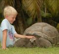 Islas Seychelles, otro mundo