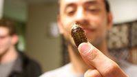 Un joven pasa un mes comiendo insectos