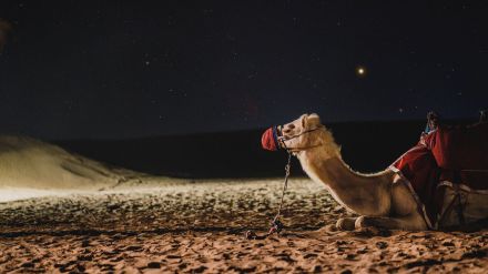 ¿Adiós al turismo convencional?: Los viajeros buscan destinos con experiencias significativas