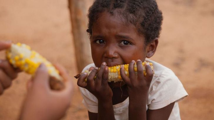 193 millones de personas en todo el mundo sufren inseguridad alimentaria