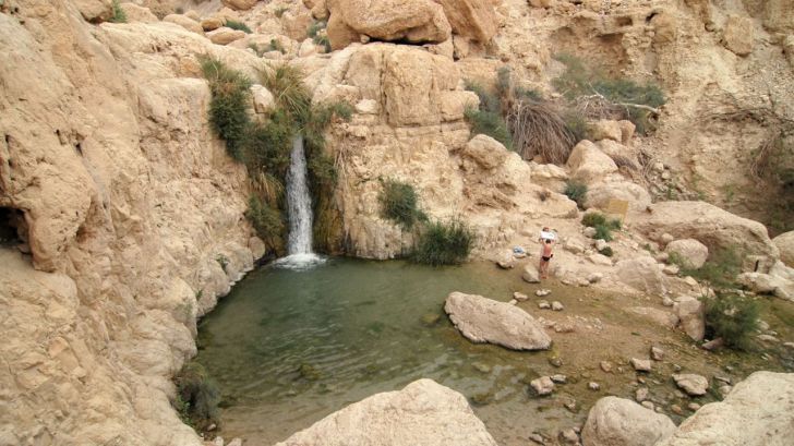 Un viaje diferente para disfrutar del Israel más 'verde'