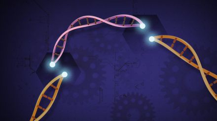 Un método para detectar el virus de la covid-19 y otros patógenos mediante CRISPR