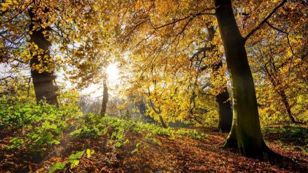 El avance climático de AEMET prevé que la tendencia cálida continúe en otoño