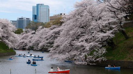 Otoño en Tokio