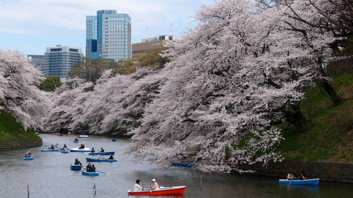 Otoño en Tokio