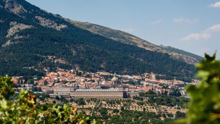 Ayudas a Patrimonio Nacional para 