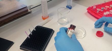 Un nuevo test detecta burundanga y droga caníbal de forma rápida y sencilla