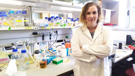 El Centro de Investigación del Cáncer analiza la tolerancia al daño en el ADN