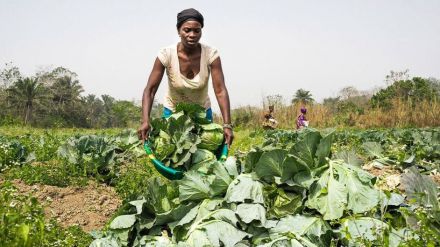 Beneficios de la igualdad de género en el sector agroalimentario