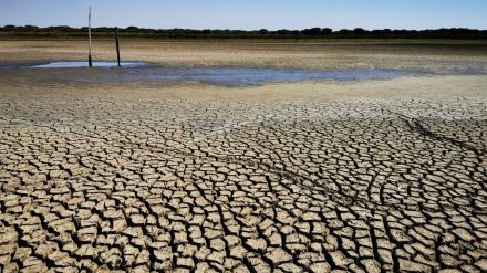 CSIC / Laguna de Santa Olalla, en Doñana, Carmen Díaz Paniagua