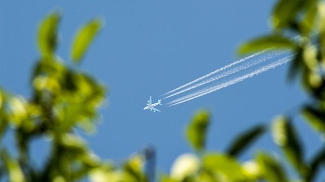 Por un 2023 de récord: La llegada de turistas a España supera en noviembre los 5 millones