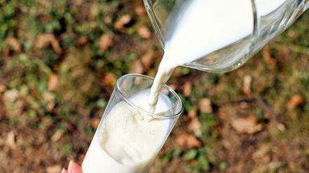 Este componente de los lácteos podría ayudar a prevenir el envejecimiento
