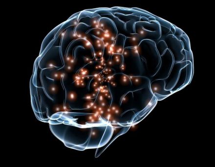 El cerebro humano supera a la IA en la resolución de problemas complejos