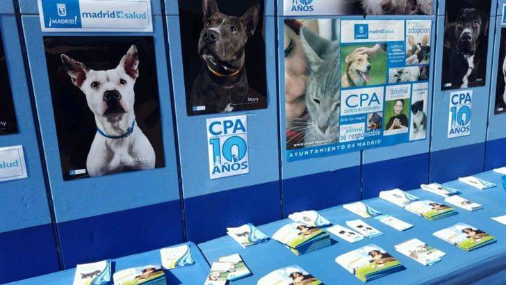 El nuevo centro municipal de adopción de mascotas estará en el Retiro