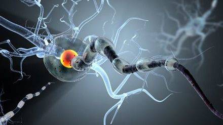 Nuevos avances para tratar la esclerosis múltiple