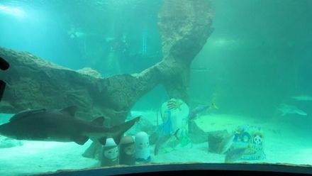 Zoo Aquarium de Madrid y Ecovidrio fomentan el reciclaje con un Belén entre tiburones