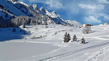 Consejos para 'sobrevivir' a una nevada