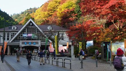 El otoño mágico de Tokio