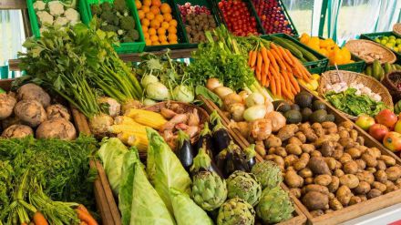 Greenpeace aplaude la medida de Barcelona para reducir el consumo de carne en los comedores escolares