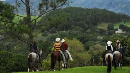 Explora el corazón verde de la República Dominicana