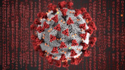 Nuevo repunte de muertes diarias por coronavirus con máximo semanal de curados
