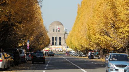 Lugares imprescindibles que visitar en Tokio durante el otoño