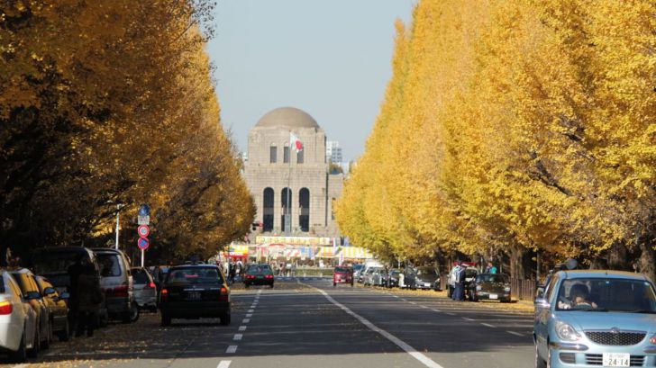 Lugares imprescindibles que visitar en Tokio durante el otoño