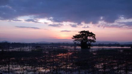 Tailandia y sus destinos más ocultos y sorprendentes