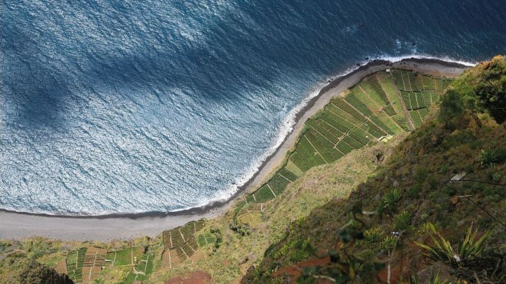 Madeira y su invitación a los nómadas digitales
