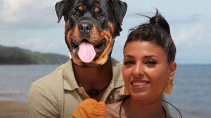 Memes de 'La isla de las tentaciones 3' que explican mejor que sus protagonistas sus sentimientos