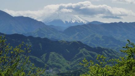 Un must para experimentar la verdadera esencia tokiota