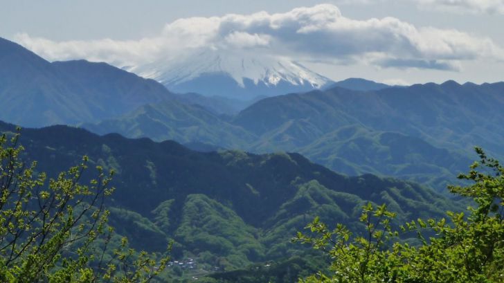 Un must para experimentar la verdadera esencia tokiota