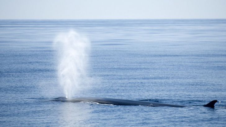 Canarias: Deportes en el mar