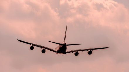 Casi la totalidad de los turistas españoles planea abrirse a una selección más amplia de aerolíneas