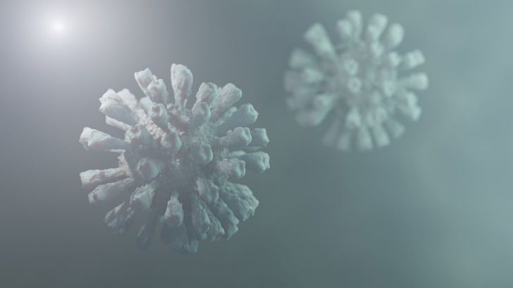 Sobre la reinfección del nuevo coronavirus