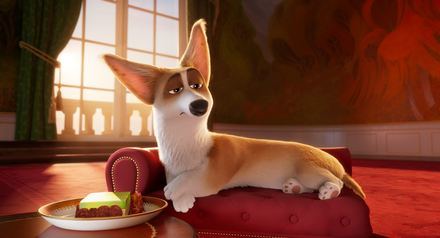 Corgi, las mascotas de la reina