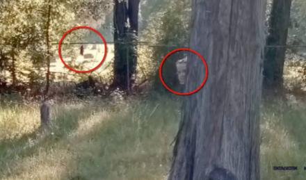 ¿Realidad o ficción? Google Maps vuelve a encontrar un fantasma