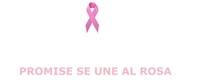 Promise se une al rosa