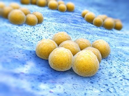 Nuevas estrategias para combatir la resistencia a antibióticos en superbacterias