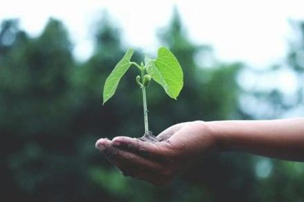 Nuevo grupo de trabajo abordará la adaptación climática desde la salud pública
