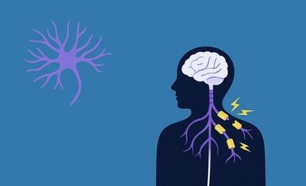 ISCIII y EME unen fuerzas para avanzar en la investigación de la esclerosis múltiple