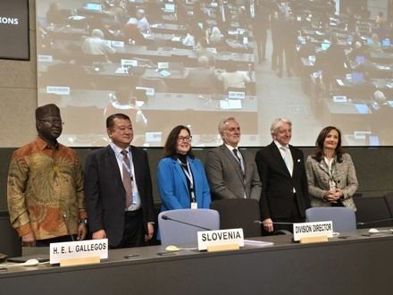 Avances hacia una Convención Internacional de Derechos para Personas Mayores en Ginebra