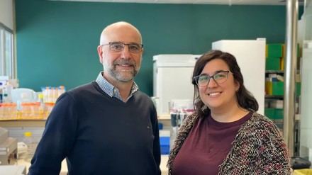 Éxito en España: un paciente logra curarse del VIH tras un trasplante de células madre