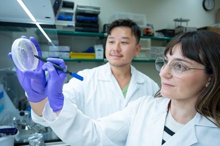 Universidades y hospitales fortalecen su colaboración en crisis sanitaria