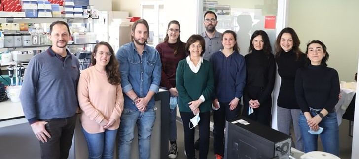 Dietas altas en grasa alteran la expresión genética entre sexos en tejidos metabólicos