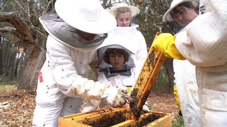 Paradores ofrece ecoturismo gratuito para revitalizar áreas afectadas por incendios