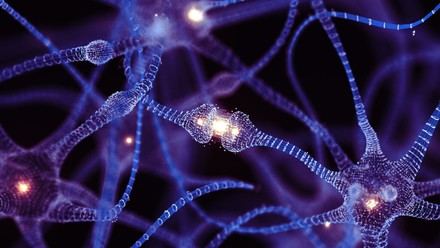Nuevo modelo de neurona mejora el diseño de redes neuronales artificiales