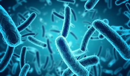 Nueva técnica óptica permite analizar el comportamiento de bacterias frente a antibióticos