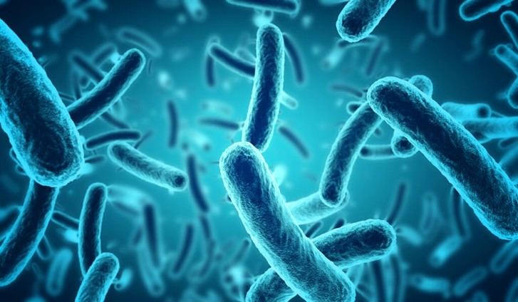 Nueva técnica óptica permite analizar el comportamiento de bacterias frente a antibióticos